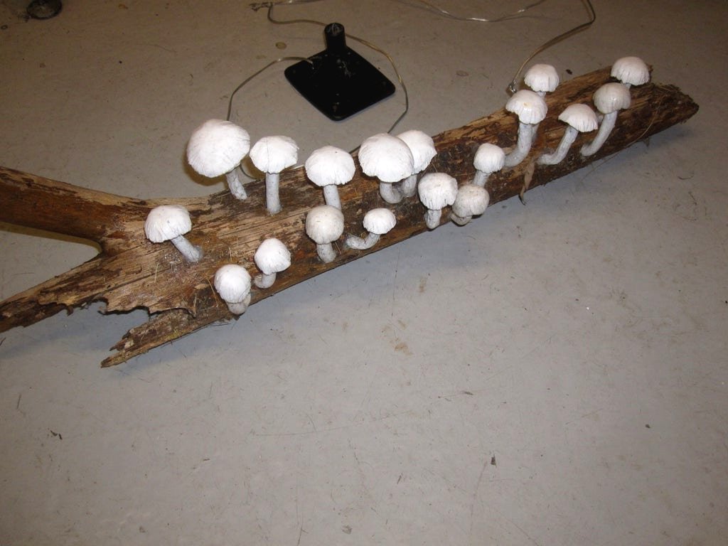 Необычная ночная лампа - фото 6