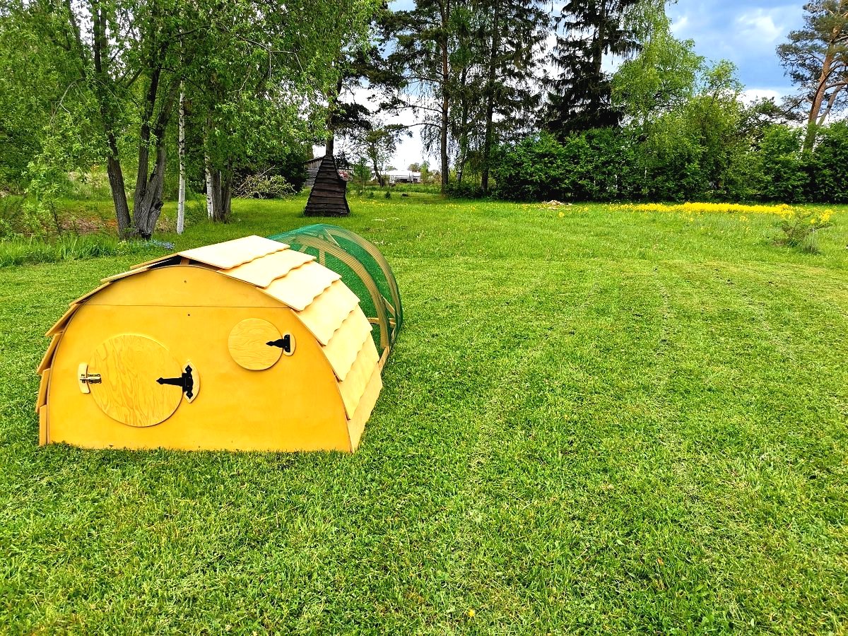 Уличный домик для цыплят - фото 12