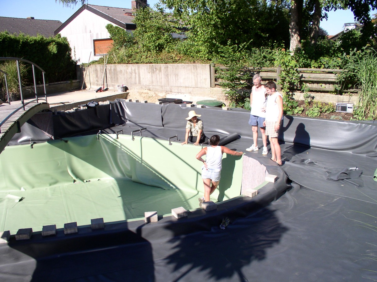 Пруд с мостом через него - фото 7