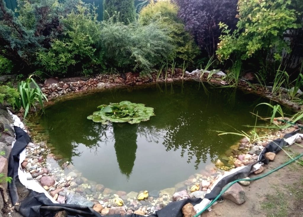 Пруд на дачном участке - фото 6