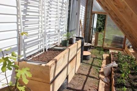 Парник - фото 13