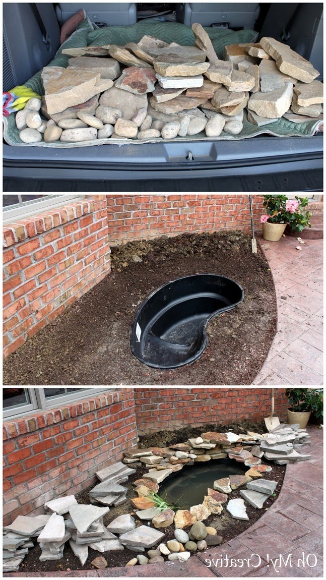 Пруд с водопадом - фото 4