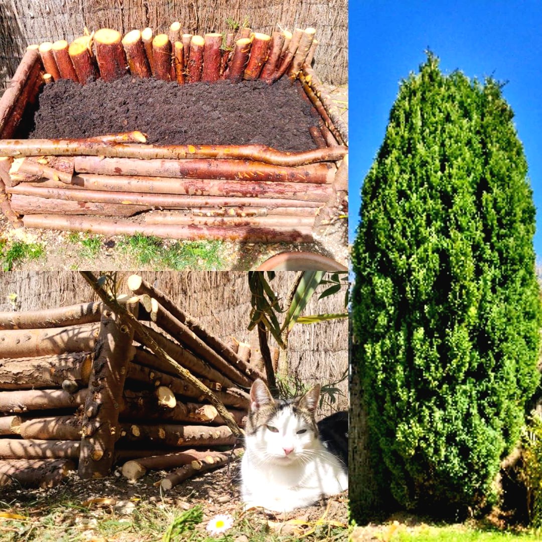 Оригинальные клумбы - фото 11