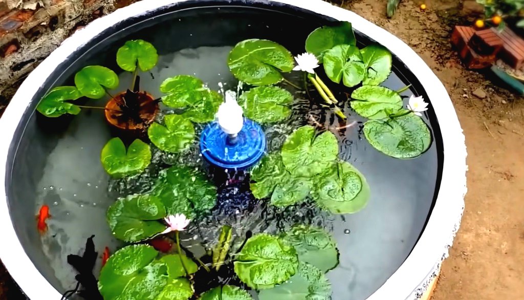 Красивый пруд своими руками - фото 2