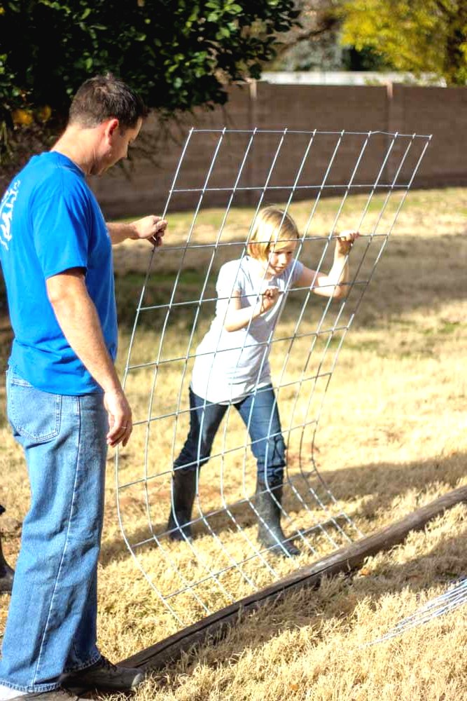Грядка для огурцов или фасоли - фото 3