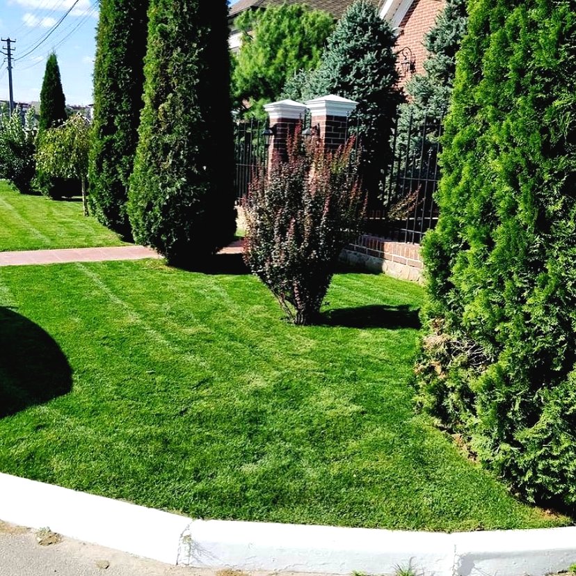 Ландшафтный дизайн небольшого сада - фото 8