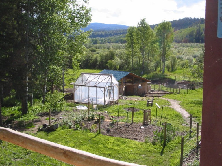 Простая теплица из дерева и полиэтилена  - фото 9