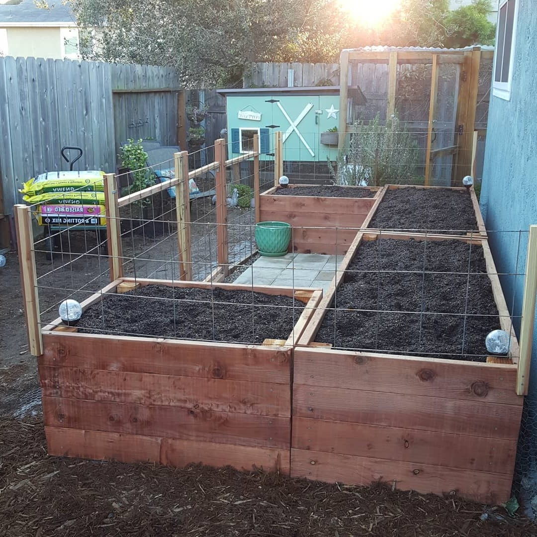 Садовая грядка - фото 4