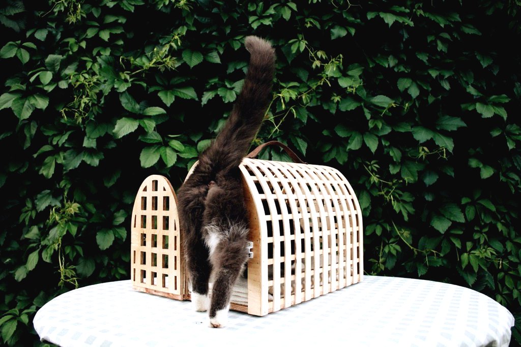 Переноска для домашних животных из фанеры - фото 13