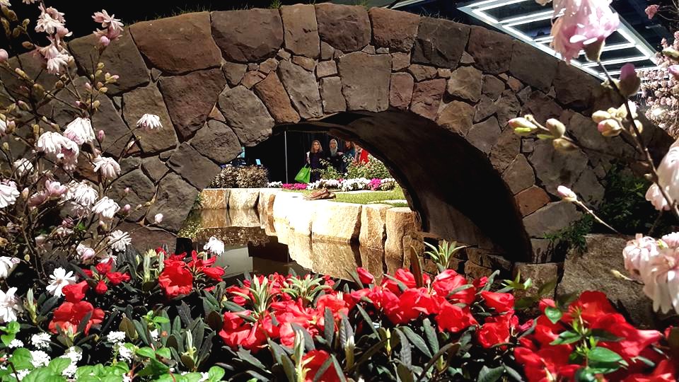 Пример ландшафтного дизайна небольшого участка - фото 7