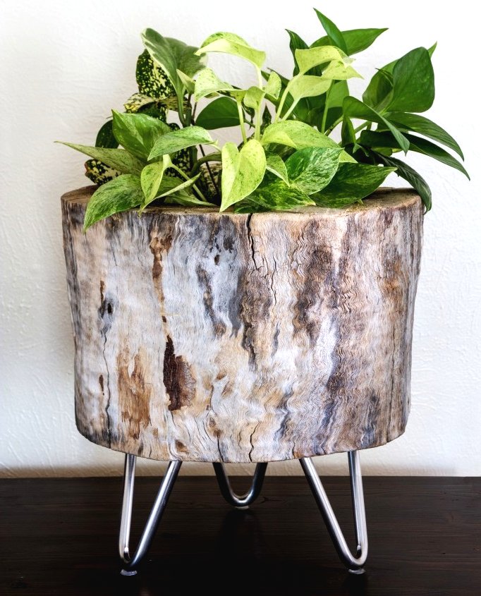 Цветочный горшок из пня - фото 3