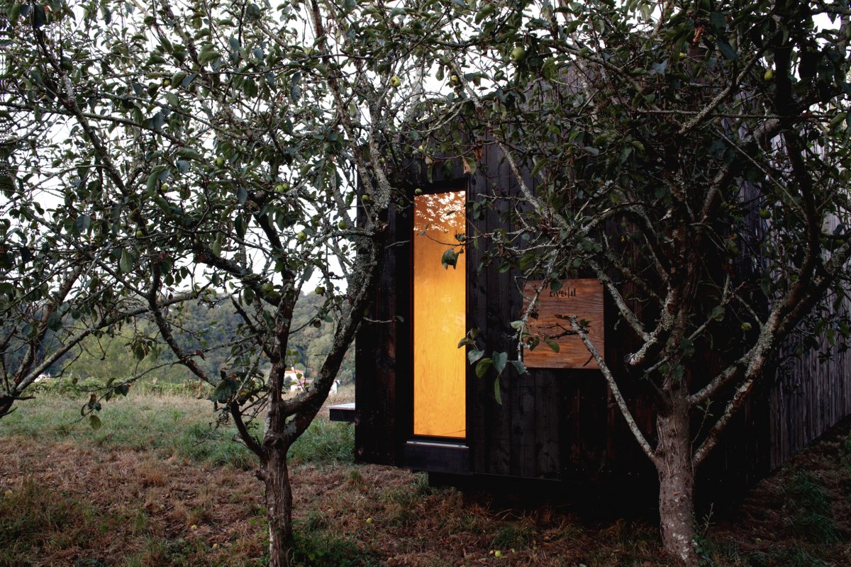 Небольшой одноэтажный дом в 22 кв м из дерева - фото 2