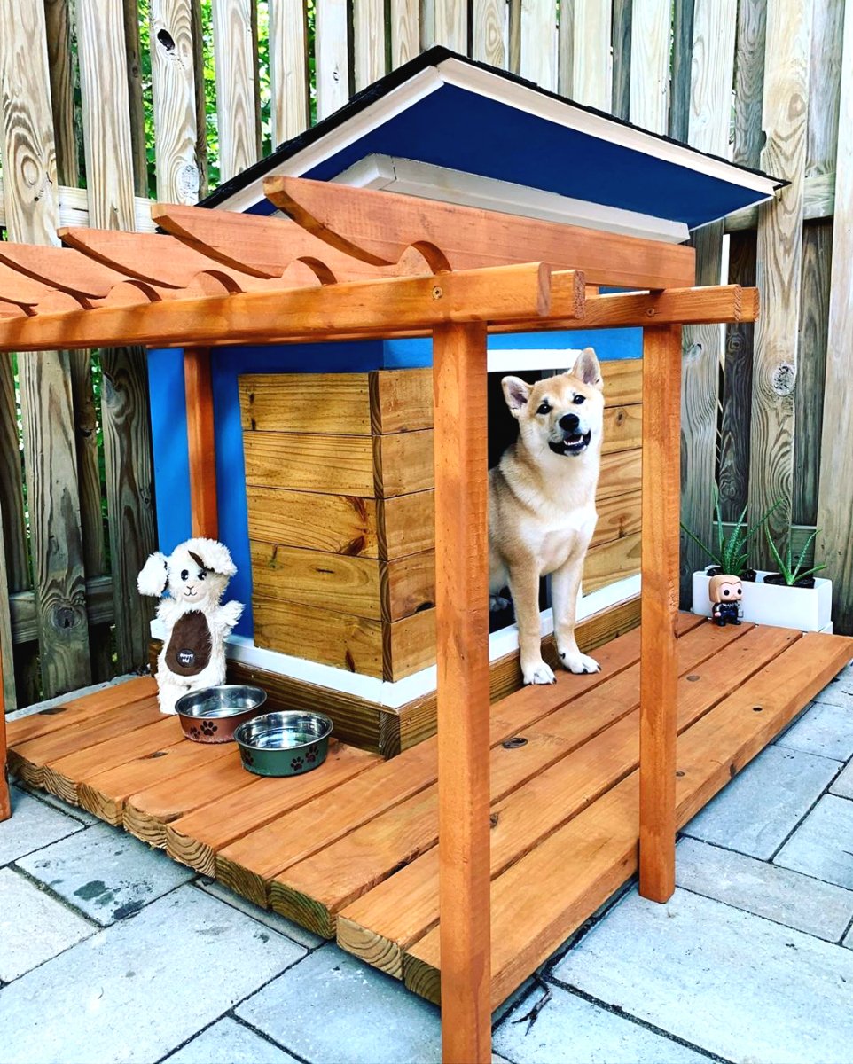 Необычные будки для собаки - фото 23