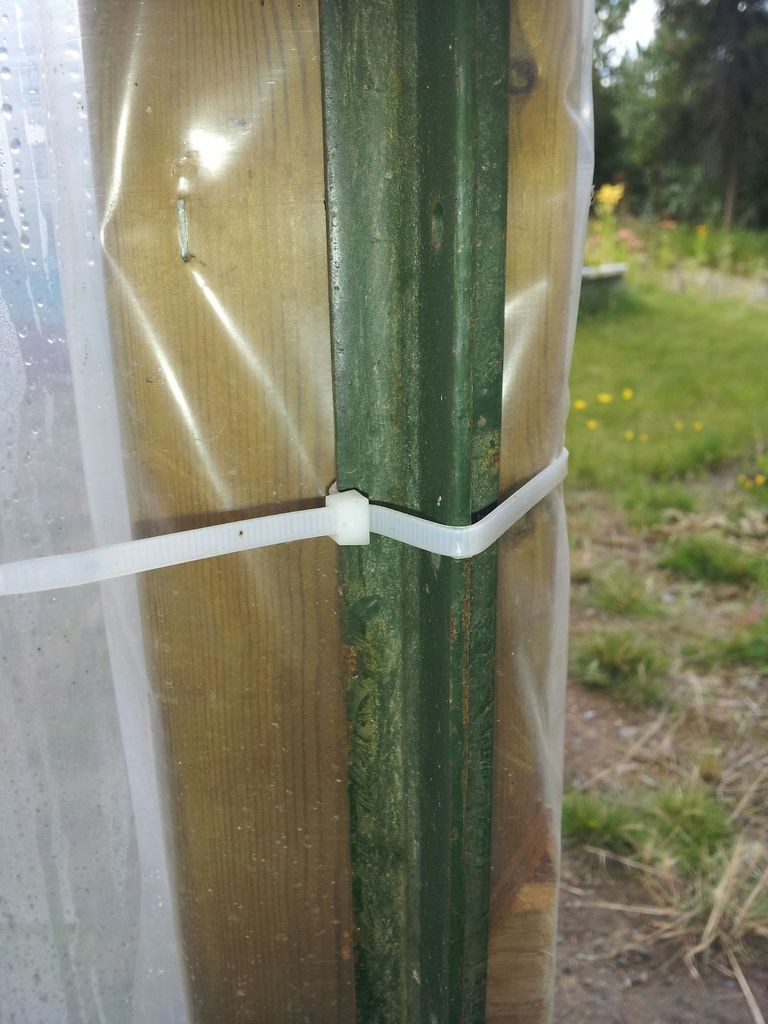 Теплица для Севера - фото 15