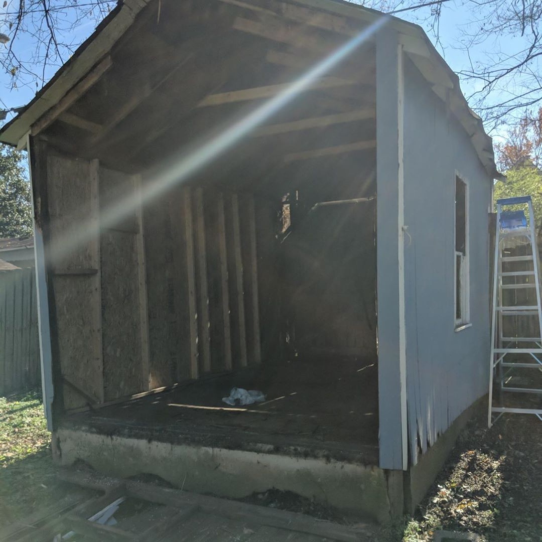 Удивительная оранжерея - фото 2