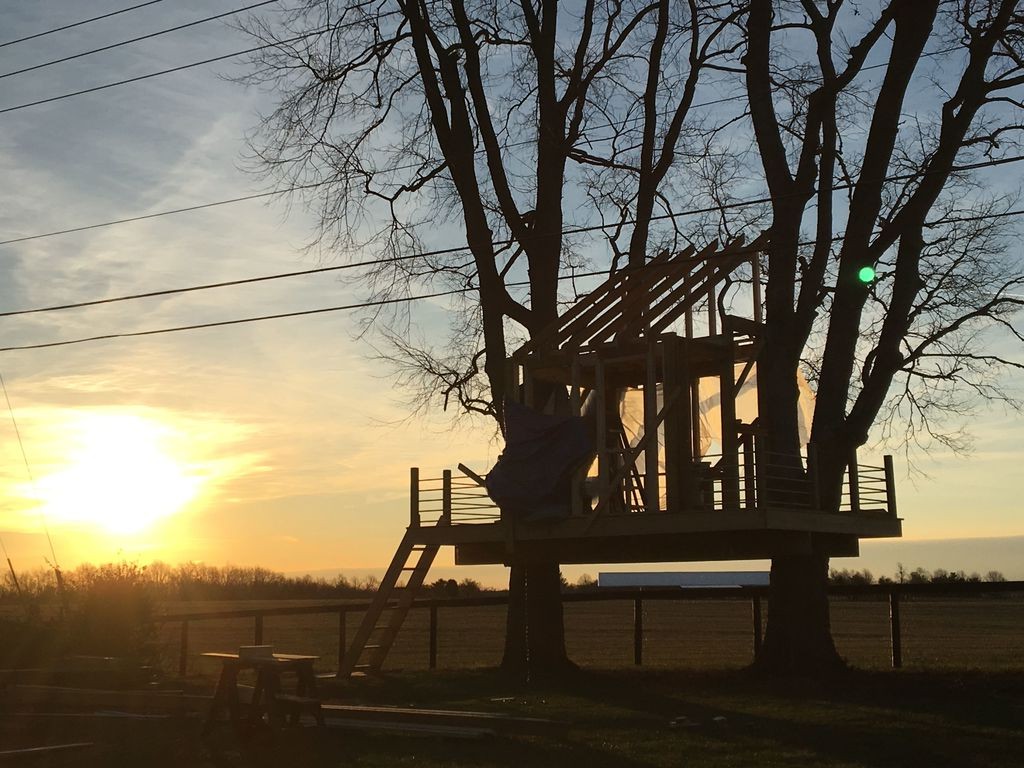 Крутой дом на дереве - фото 10