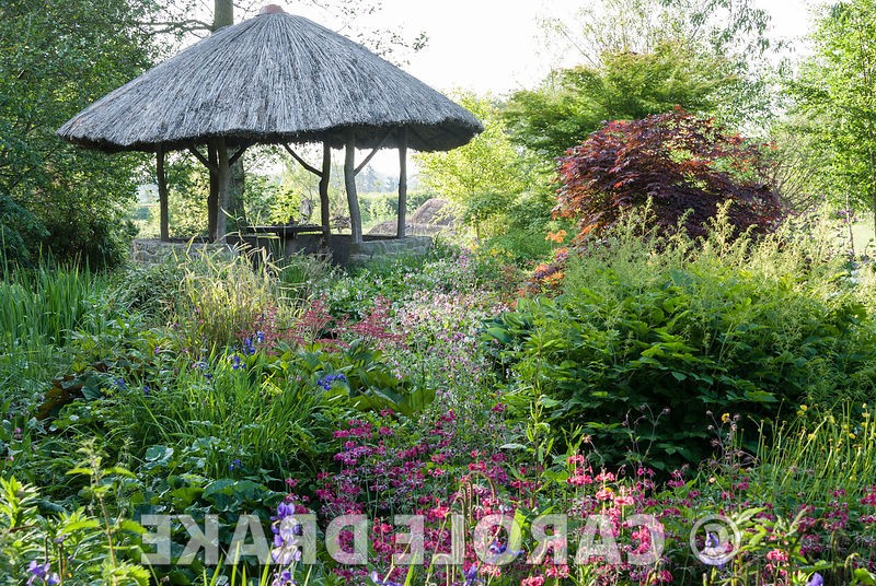 Сад в котором иглу из пустых бутылок вина - фото 10