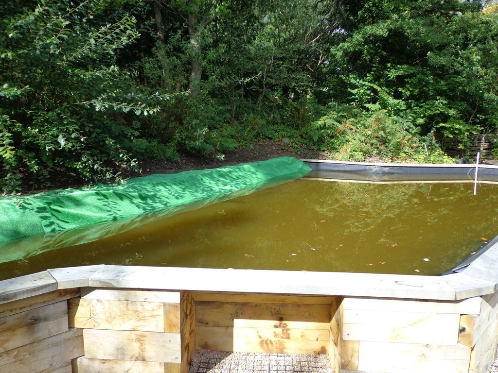 Пруд над землей - фото 15