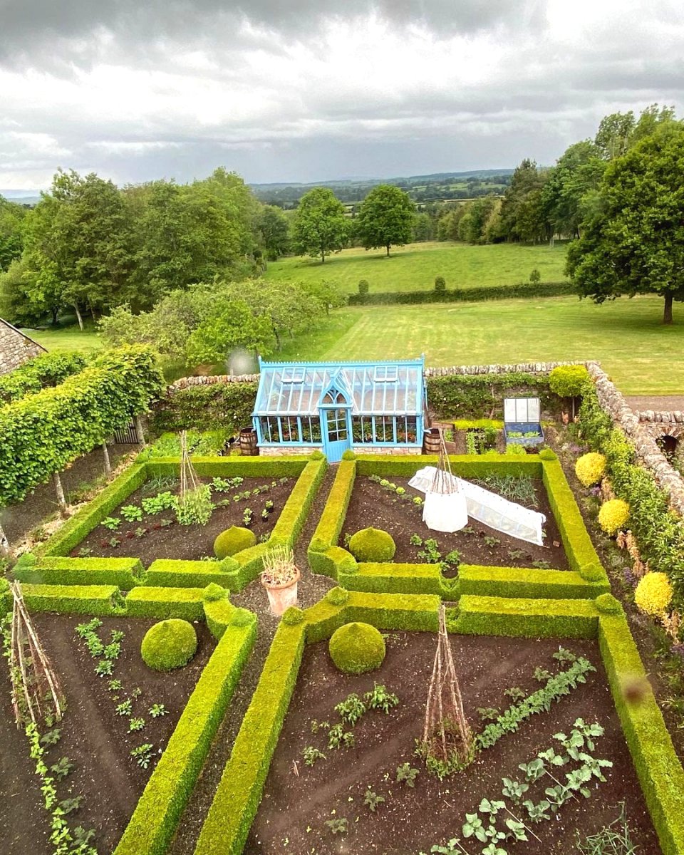 Топиарий в саду своими руками - фото 3