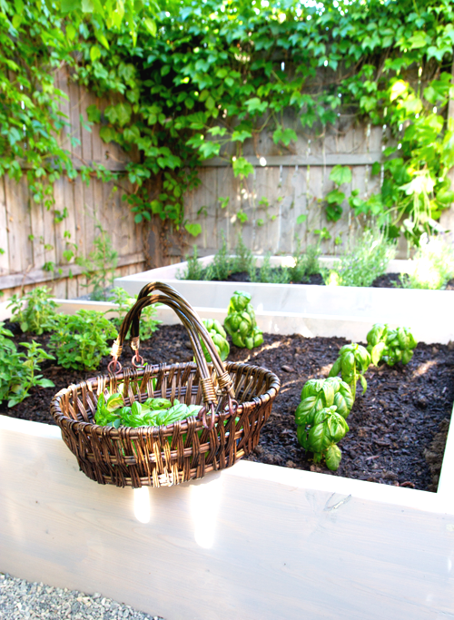 Облагораживаем участок - фото 11