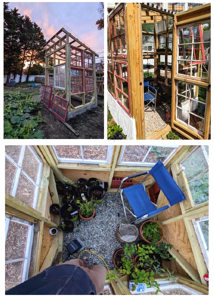 Парник из старых окон - фото 4