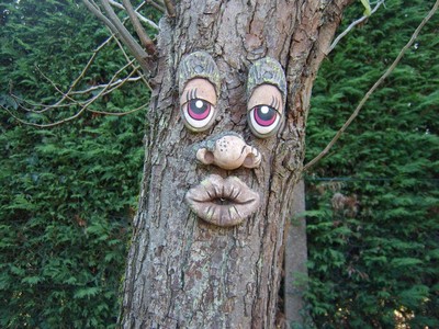 Смешные лица на деревьях